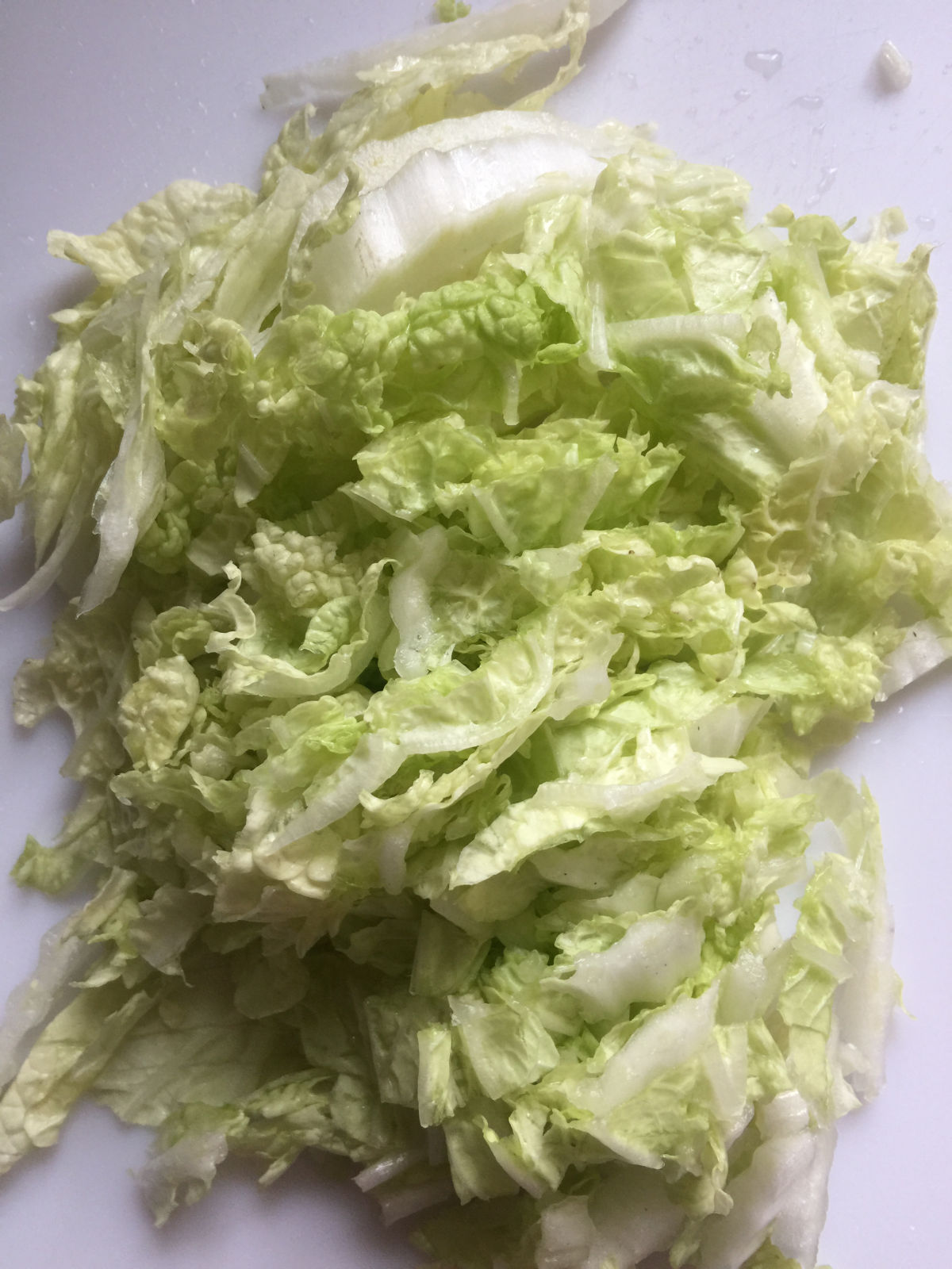 A close up view of Chinese napa cabbage strips.